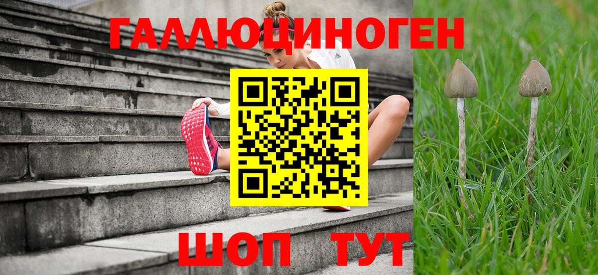 Лянтор  Галлюциногенные грибы мицелий  Вход с VPN  Галлюциногенные грибы Psilocybe 